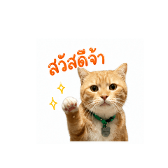 mnisyyy_20260617124708
