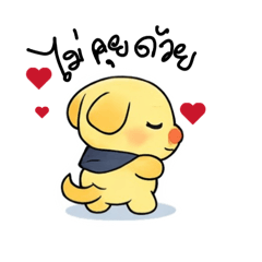 Labrador pink nose