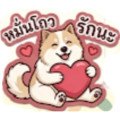 Mantou_20260617162554