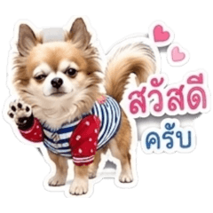 Bobo_20260617163357