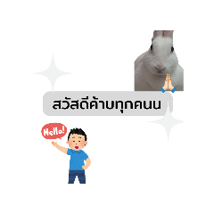 yuyu_20260618104308