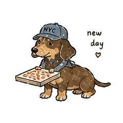 Dachshund and NYC