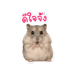 Hamstermarine