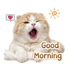 mmilky_20260618222538