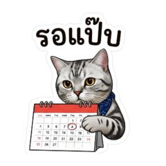 KiSSADA LOEKSOPHA_20260619003341