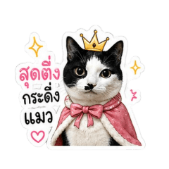 ragdoll_20260619004011