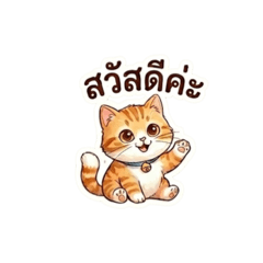Chuty_20260619013457