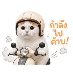 Praeploy_20260730043811