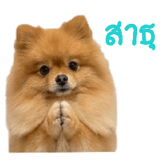 kodchpan_20260730065913