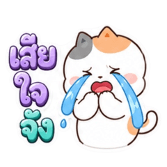Lovekynaja_20260730084212