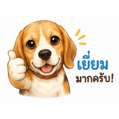 R-Lek_20260730090615