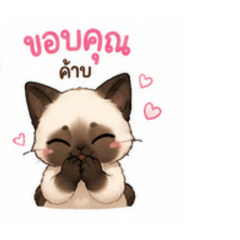 Kritta_20260730140536