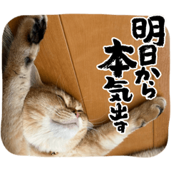Aya_20260809203114