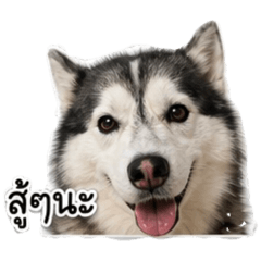 Sanook_20260731025900