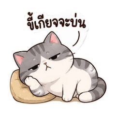 The Moody Cat1