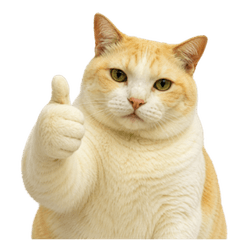 Johnnymeaw Cat(EN)