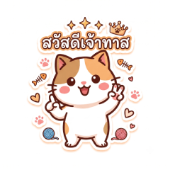 Tas Meow Meow