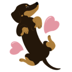 Midnight the dachshund (English version)