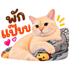 MeowMories - Team Ya-Mong