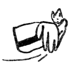 Wandering cat4