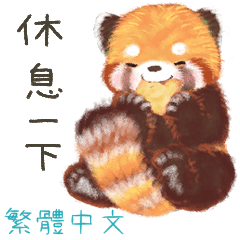 Red Panda Pohe! Everyday & Work  /CHT