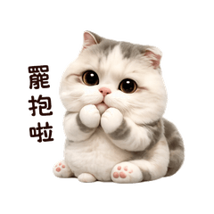 璐娜寶日常