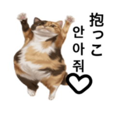 Korean&Japanese FatCat