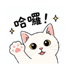 胖諾是隻貓