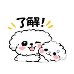 chobu_20260808194023
