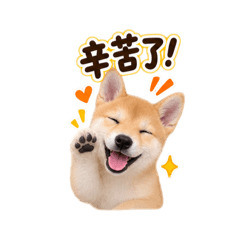 布丁啵啵