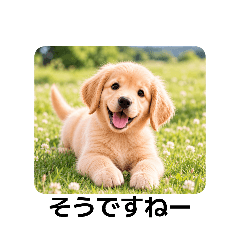 Doggie World 8
