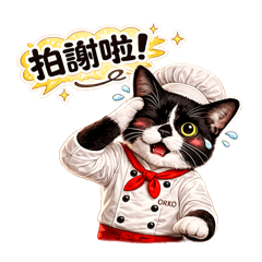 OKKO義式小館 貓日常II