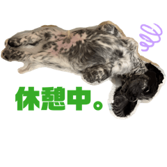hana_20260809223947