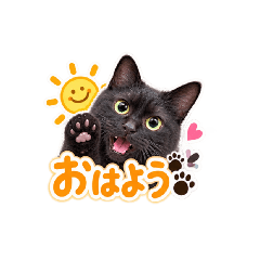 mami_20260809212349