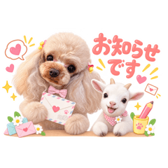 aya_20260810002128