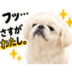 ayumi_20260810014709
