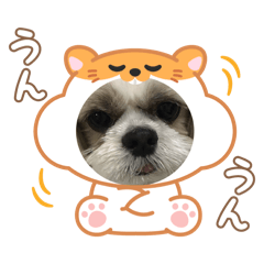 sora_20260810034124