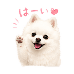 natsumi_20260810001109