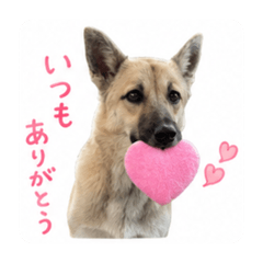 akio_20260810073924