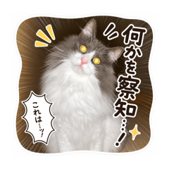 futa_20260810091020