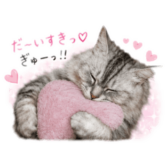 umaimonhonpo_20260810111819