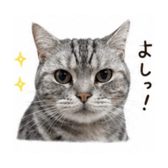Juna_20260810110842