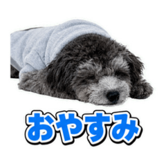 yoshikey_20260810114012