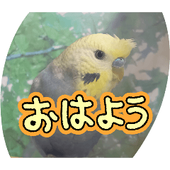 kotoha_20260810111011