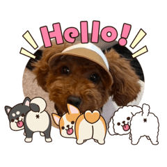 michako_20260810114152