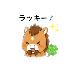 Nonkiti_20260810102758