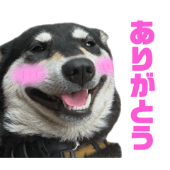 fuku_20260810103708