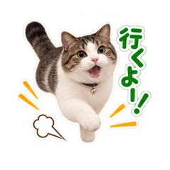 moka_20260810103754
