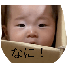 Benyan_20260810104338