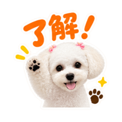 MOKOMASA_20260810104225